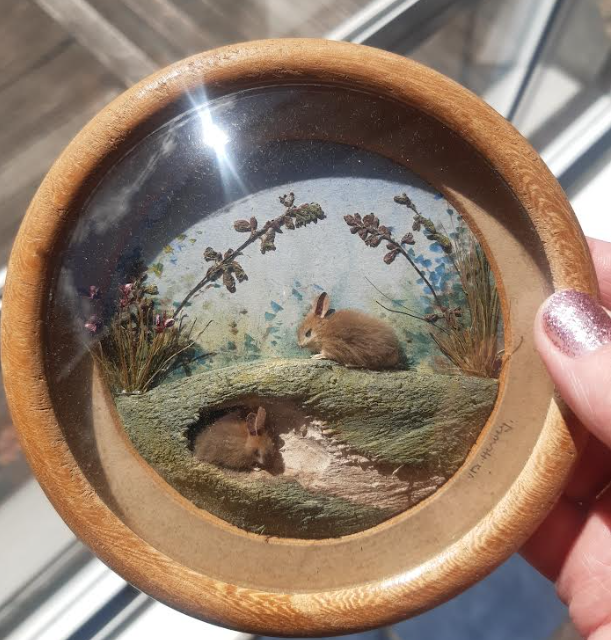 Rabbits (Version 7) (5-inch)